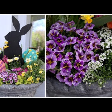 Happy Easter!