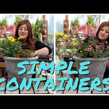 Flower Alley Experiment: Simple Container Ideas for Full Sun!