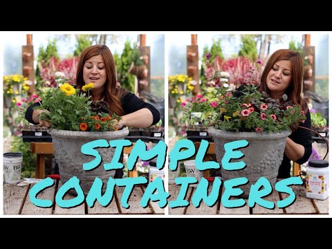 Flower Alley Experiment: Simple Container Ideas for Full Sun!