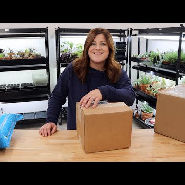 Unboxing Some Fun Garden Stuff!