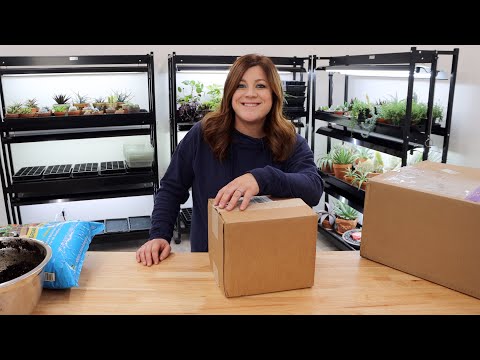 Unboxing Some Fun Garden Stuff!