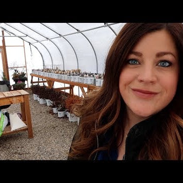 Random Winter Gardening Projects!