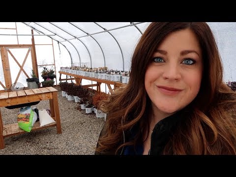 Random Winter Gardening Projects!