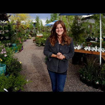 A Tour of My Parent’s Garden Center!