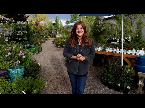 A Tour of My Parent’s Garden Center!