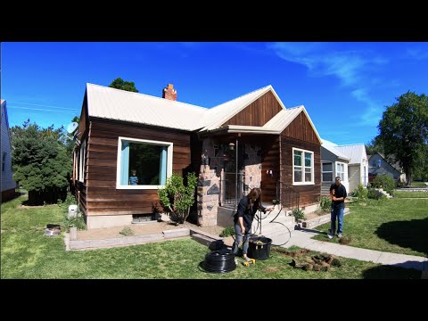 Flowerbed Makeover: Plant Choice, Spacing, & What to Expect from a New Space!
