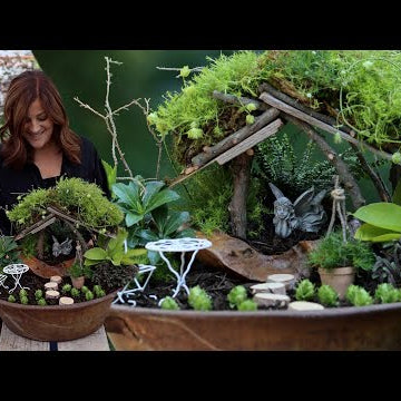 Shade Fairy Garden w/ DIY Living Moss Roof!