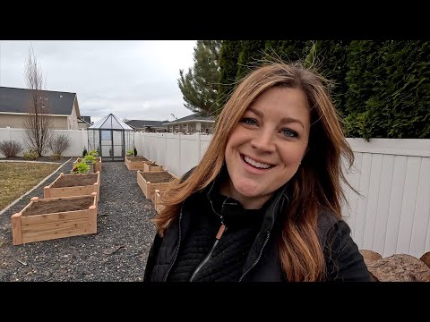 Installing Cedar Raised Beds for a Vegetable Garden!