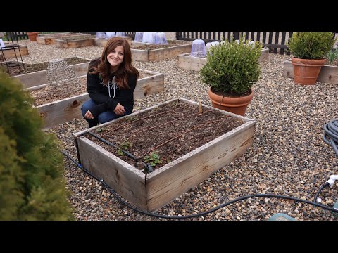 How to Install Drip Irrigation in Raised Beds!