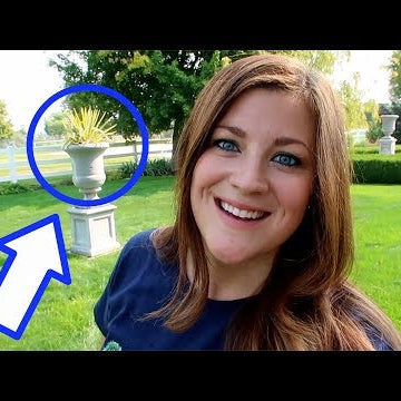 Replacing a Dracaena with a Yucca
