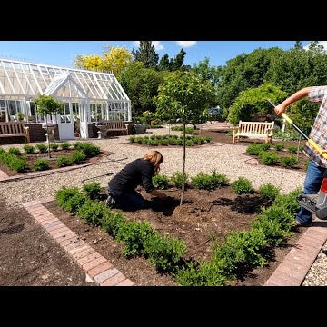 Planting the Parterre Garden & the Pots Around the Hartley!