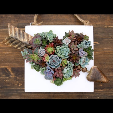 Heart Shaped Succulent Arrangement
