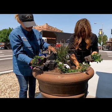 Planting Up the Downtown City Pots with My Mom + a Little Planting at Home!