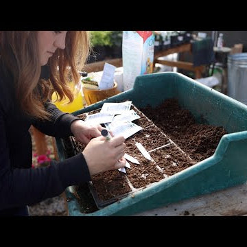Seed Starting: 1,000+ Annual Flowers!