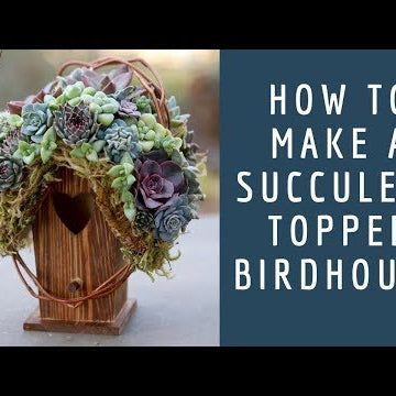 How to Make a Succulent Topped Birdhouse