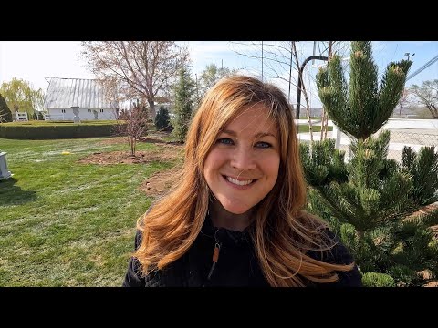 Tree Planting Day 2: Planting a Deciduous & Evergreen Border/Screen!
