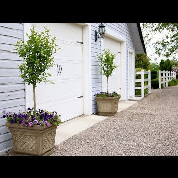 Planting Containers For My Garage!