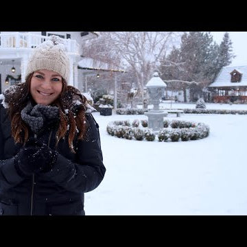 Winter Interest Garden Tour