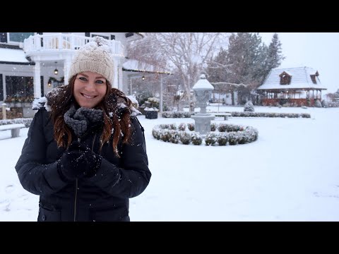 Winter Interest Garden Tour