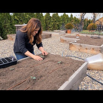 Planting Spring Crops!
