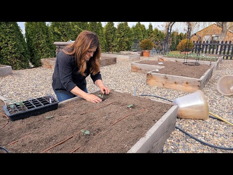 Planting Spring Crops!