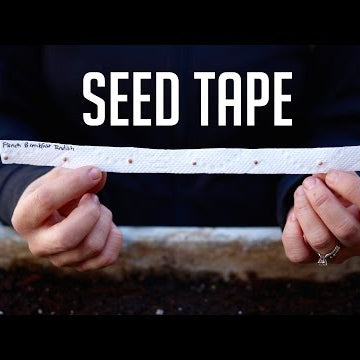 How to Make Seed Tape