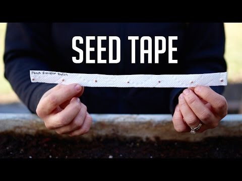 How to Make Seed Tape