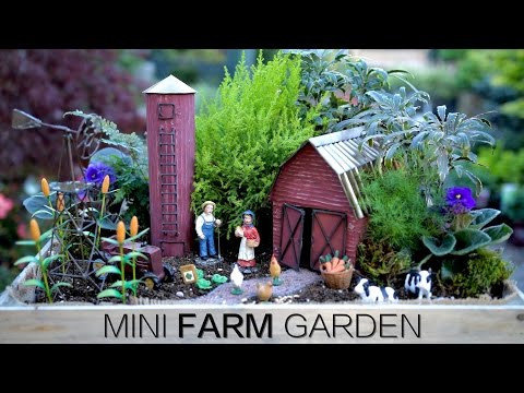 Mini Farm Garden