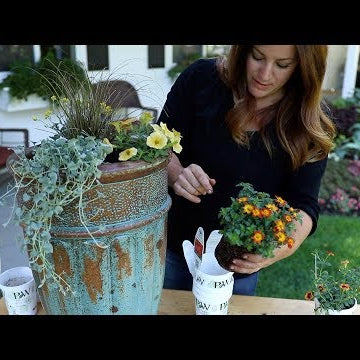 Planting up Some Fall Color!  (a.k.a. willing cooler temps to arrive! )