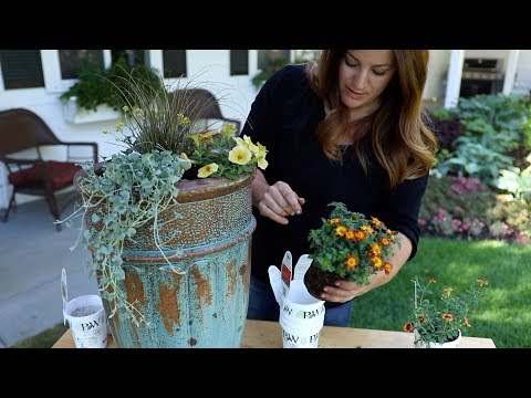 Planting up Some Fall Color!  (a.k.a. willing cooler temps to arrive! )