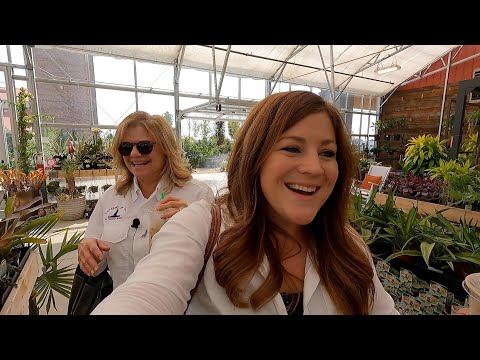 Checking Out a New Garden Center & Antiquing with My Mom!