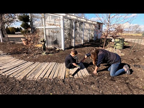 Cleaning Up the Area Behind the Chicken Coop!