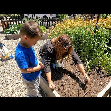 Raised Beds: Tour, Harvest, Clear Out & Planting New Crops!