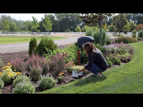 Planting 3 Varieties of Sedum! Tough, Low Maintenance, Heat-Loving Plants!
