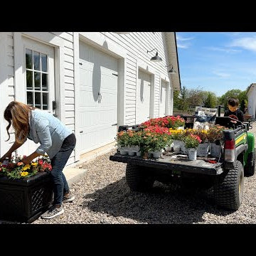 Rearranging & Potting Up a Bunch of Containers!
