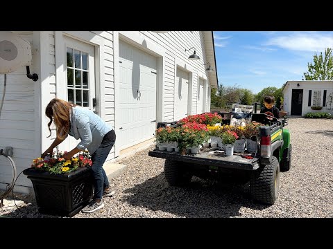 Rearranging & Potting Up a Bunch of Containers!