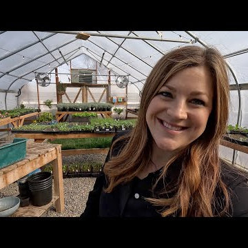 Greenhouse Tour + Update on ALL of Our Seedlings!