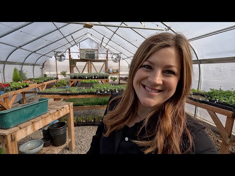 Greenhouse Tour + Update on ALL of Our Seedlings!