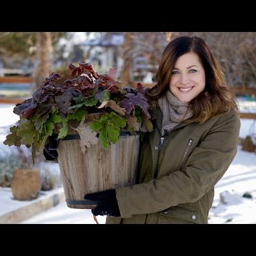Wintering Over Plants in Containers