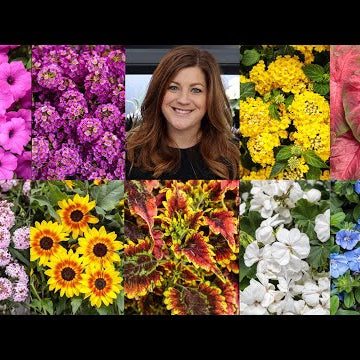 New Annuals for 2022
