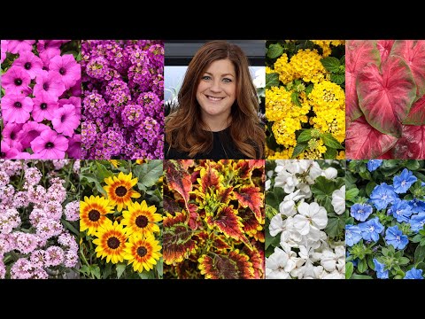 New Annuals for 2022