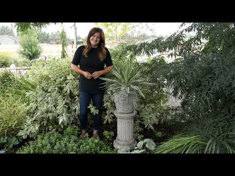 Adding Some Gorgeous Concrete Pieces to My Garden!