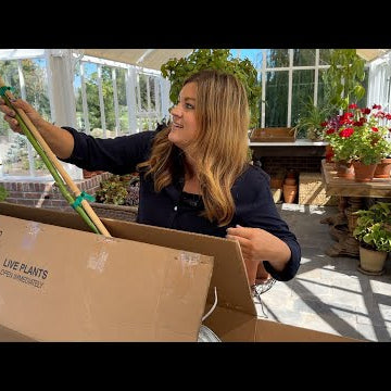 Unboxing & Potting Avocado Trees + Canning the MOST Delicious Marinara Sauce!