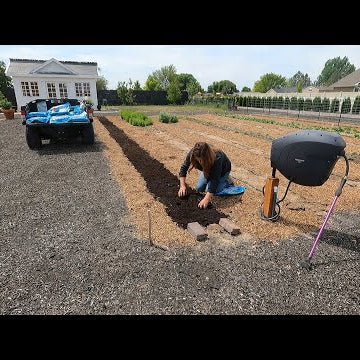Planting Zinnias & Maple Trees + Plans for the Pumpkin Area!