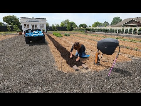 Planting Zinnias & Maple Trees + Plans for the Pumpkin Area!