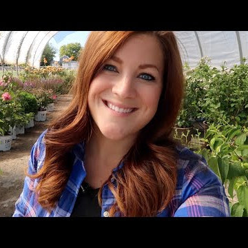 10 Flowers You Can Still Plant From Seed in the Middle of Summer!