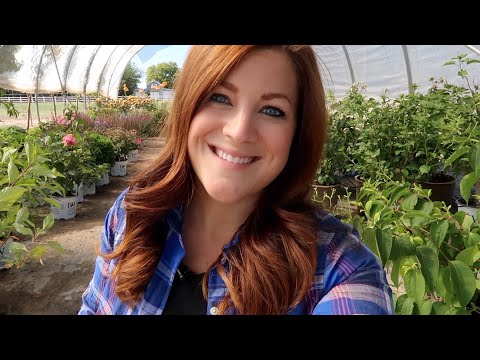 10 Flowers You Can Still Plant From Seed in the Middle of Summer!