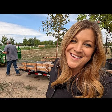 New Tree Load… Because Of Course We Did!