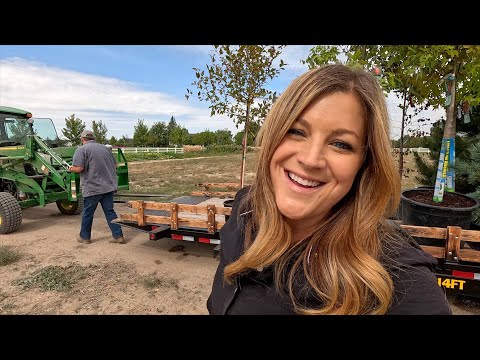 New Tree Load… Because Of Course We Did!