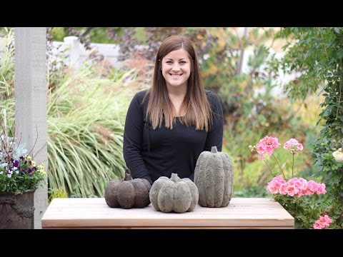 DIY Concrete Pumpkins for Fall